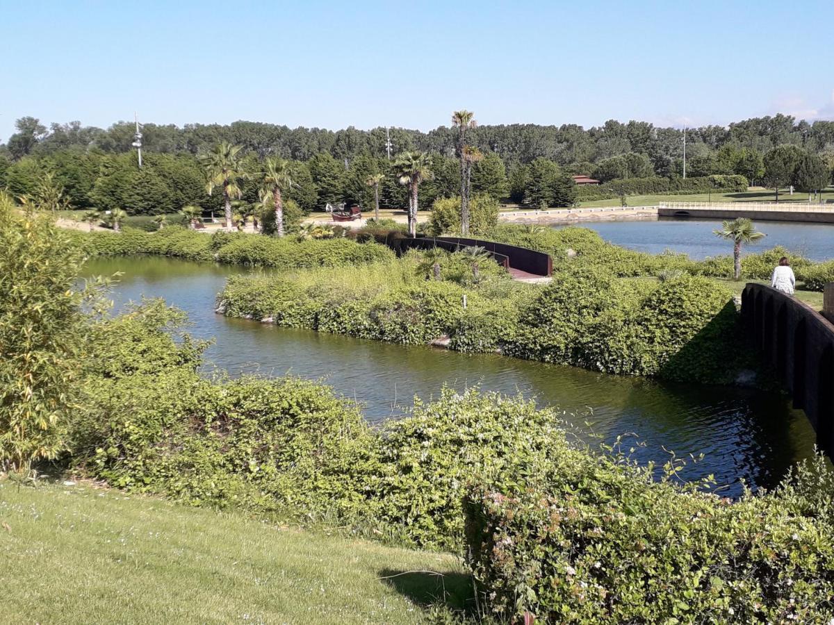 Centrico Y Con Encanto En Tierra De Vinos Logroño Exteriör bild